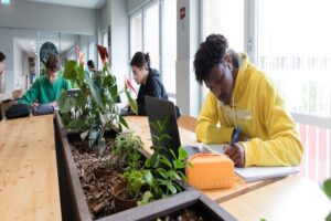 تحصیل مهندسی در ایتالیا معرفی رشته‌ها و فرصت‌های شغلی