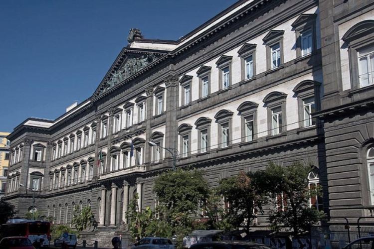 تحصیل مهندسی در دانشگاه ناپل فدریکو دوم